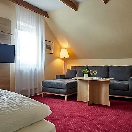 Slunce - Wellness S Bazenem, Pivovar Morous A Bowling 3* Rymarov